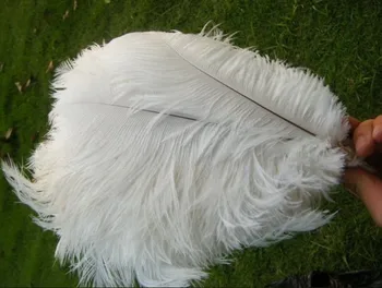 100 VNT 40-45cm/ gražus gamtos balta stručio plunksnų cm / 16 to18 cm, dekoratyvinis plunksna