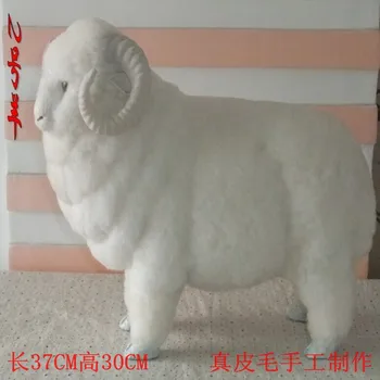 2 modeliavimas, kailinių gyvūnų avis avis namo patalpų įrengimui skirti dirbiniai, Oda rankdarbiai