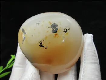 200% Natural Polished Aquatic Plants Agate Crystal Madagascar crystal stone specimens for fengshui collection