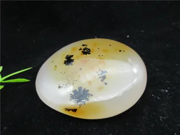 200% Natural Polished Aquatic Plants Agate Crystal Madagascar crystal stone specimens for fengshui collection