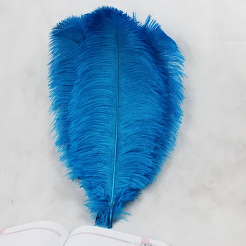 2016 10 vnt dangus mėlynas stručio plunksnų.Aukštos kokybės stručių plunksnos 45-50cm 18-20 cm galvos apdangalai veiklos kamuolio apdaila