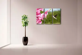 3 Skydelis Sienos Meno Violetinė Hummingbird Sklandė Gladiolus Pink Gėlių Tapyba Nuotraukas, Spausdinimas Ant Drobės Gyvūnų Nuotraukos