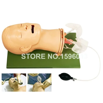 Advanced Multi-funkcinis Kvėpavimo takų Valdymo Modelį,Endotracheal kvėpavimo takų Intubation Treneris