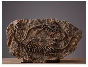Amerikos šalyje Kavinė Baras Sienos Freskos minkšti baldai asmeninį papuošalų dinozaurų fosilijos namų Puošybai dervos kaukolė