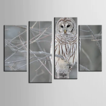 Beautiful canvas nature paintings living room Canvas Painting Wall Modern Pictures home decor Owl series art/ZT-3-74