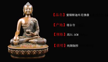 Budos statula/ Tantros Budistų /Kumbum vienuolynas qinghai gamybos/vario mažas skaičius Buddha sakyamuni, 21.5 CM