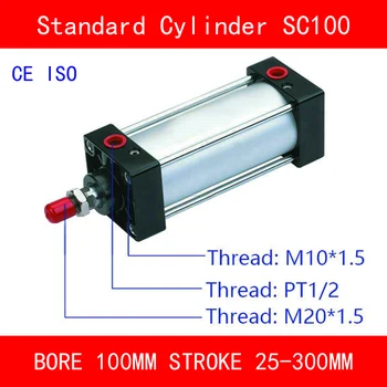 CE ISO SC100 Oro Mini Cilindro Vožtuvas Magnetas Pagimdė 100mm Strock 25mm 300mm Insultas Vieno Strypo Dvigubo veikimo Pneumatinė