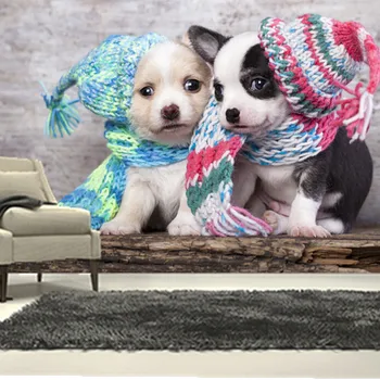 Custom 3D didelės freskos,Du cute šuniukai su vilnos skrybėlę papel de parede ,gyvenamasis kambarys su sofa-lova, TV wall miegamojo sienos popieriaus
