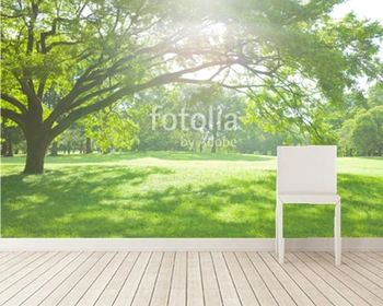 Custom medis ekrano užsklanda,saulėtas, medis, žolė,gamtos kraštovaizdžio, freskos gyvenimo kambario, miegamasis, sofa foną papel de parede