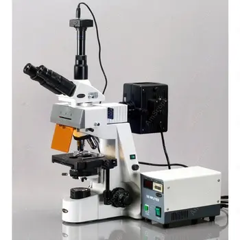 EPI Fluorescencijos-AmScope Prekių 40x-2500x Infinity Ekstremalių Widefield EPI-Fluorescencinis Mikroskopas prekės KODAS: FM690TC