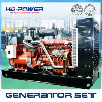 Gamyklos pardavimo vandeniu aušinamas 380v 50hz ricardo 300kw dyzelinis generatorius