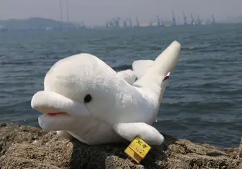 Jūrų gyvūnų didelis 74cm mielas delfinų pliušinis žaislas minkšta pagalvėlė aukštos kokybės gimtadienio dovana b4828