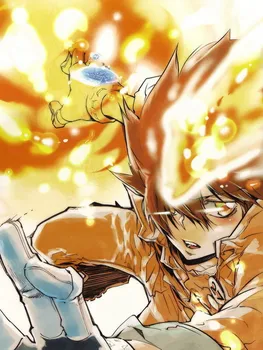 Katekyo Hitman Reborn Anime Sawada 150*200CM Vieno sluoksnio Antklodė #36780