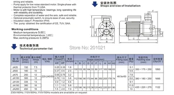 Kinijos Australija, JAV, Jk, Prancūzijos kurortus cirkuliacijos siurblio 0.5 KW 370W 50HZ 2900r/ min arba 60 hz 3450 r/min + LX filtravimo siurblys + naujas!