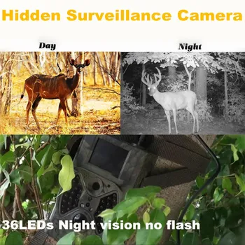 Laukinių gyvūnų Medžioklės takas kamera HC 300M 2