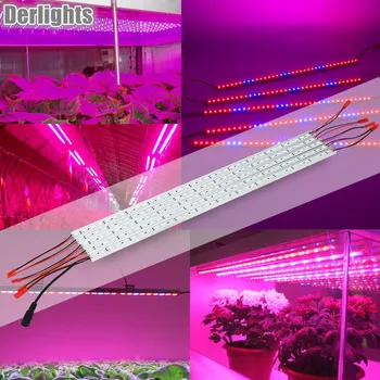 Led Augalų Auga Šviesos 5vnt 0,5 m 10W DC12V SMD5050 LED Grow Light Barų Žydinčių Augalų Ir Hydroponics Sistema