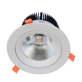 LED Downlight 20W 30W AC85-265V labai ryškus LED, COB (chip filtras, šviesos įterptųjų lubų balta/šiltai balta