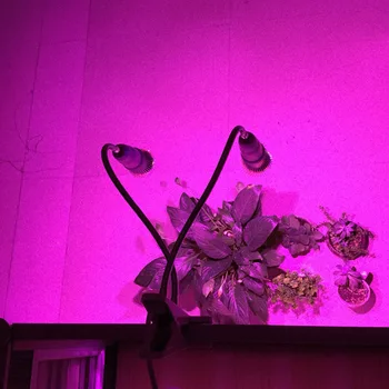 LED Grow Light Dvejopo Galvos 28W Augalų Auga Lempa, rinkinys, rinkinys, Gooseneck stalas turėtojas on/off Hydroponics šiltnamio efektą sukeliančių Akvariumas Sistema