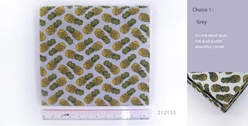 Medvilnės atspausdinta drobė animacinių filmų ananasų 12 OZ dvigubai metmenų ir ataudų drobė spausdinimas