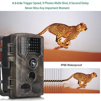 Medžioklės Žaidimas Kamera Laukinių gyvūnų Stebėjimo Takas Kameros 16MP 1080P su 65ft Infraraudonųjų spindulių Naktinio Matymo 0.2 s Judesio Aktyvuota IP65