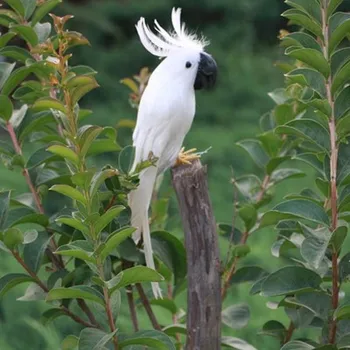 Modeliavimo white parrot žaislas tikroviška papūga paukštis, apie 30cm cheminių modelis sodo puošmena dovana t026
