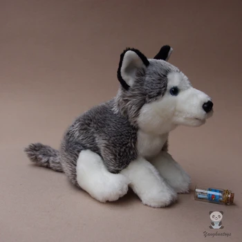 Modeliavimo Šunys Lėlės iškamša Žaislas Supjaustyti Haskis Lėlės-Vaikų Žaislai, Pliušas Dovana