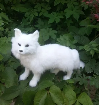 Naujas Modeliavimo white fox žaislas polietileno&furswhite nuolatinis fox modelis dovana, apie 35x22cm y0299