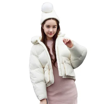 Pigūs didmeninė 2017 nauja Rudens Žiemos Karšto pardavimo moterų mados atsitiktinis šilta striukė moteriška bisic coatJ41-17804Z