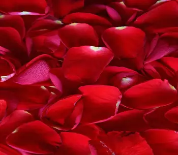 Rožių žiedlapiai Mados 3D grindų stereoskopinis 3D tapetai, grindų Pasirinktinius Nuotraukų lipnios 3D grindis, PVC grindų vandeniui