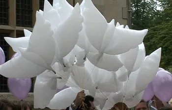 Vestuvių Baltas Balandis, Helio Balionai Krikštynos Šalies Laidojimo Atminimo Ceremoniją Gimtadienio Renginio įėjimo Dekoro Biologiškai