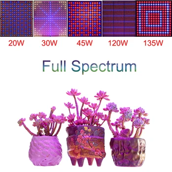 Visą Spektrą AC85-265V 20W 30W 45W 120W 200W Didelės Galios SMD LED Grow Light Red/Blue hydroponics ir kambariniai augalai