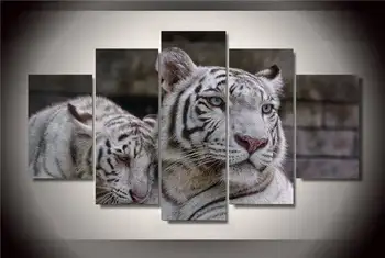 Įrėminti Spausdinti White Tiger Tapybos Ant Drobės Kambario Puošmena Spausdinti Plakato Nuotrauką Drobė Nemokamas Pristatymas/Ny-2194